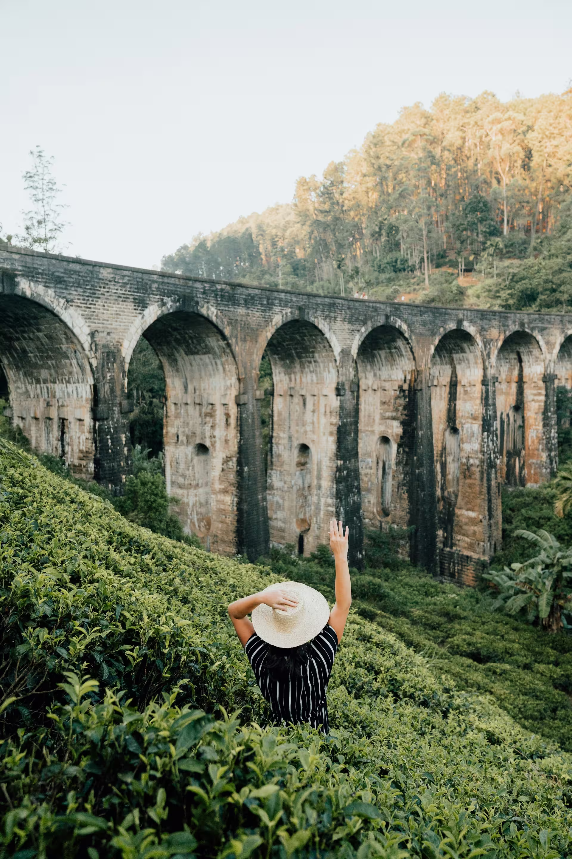 Best Ella Sri Lanka Guide - Nine Arch Bridge Train